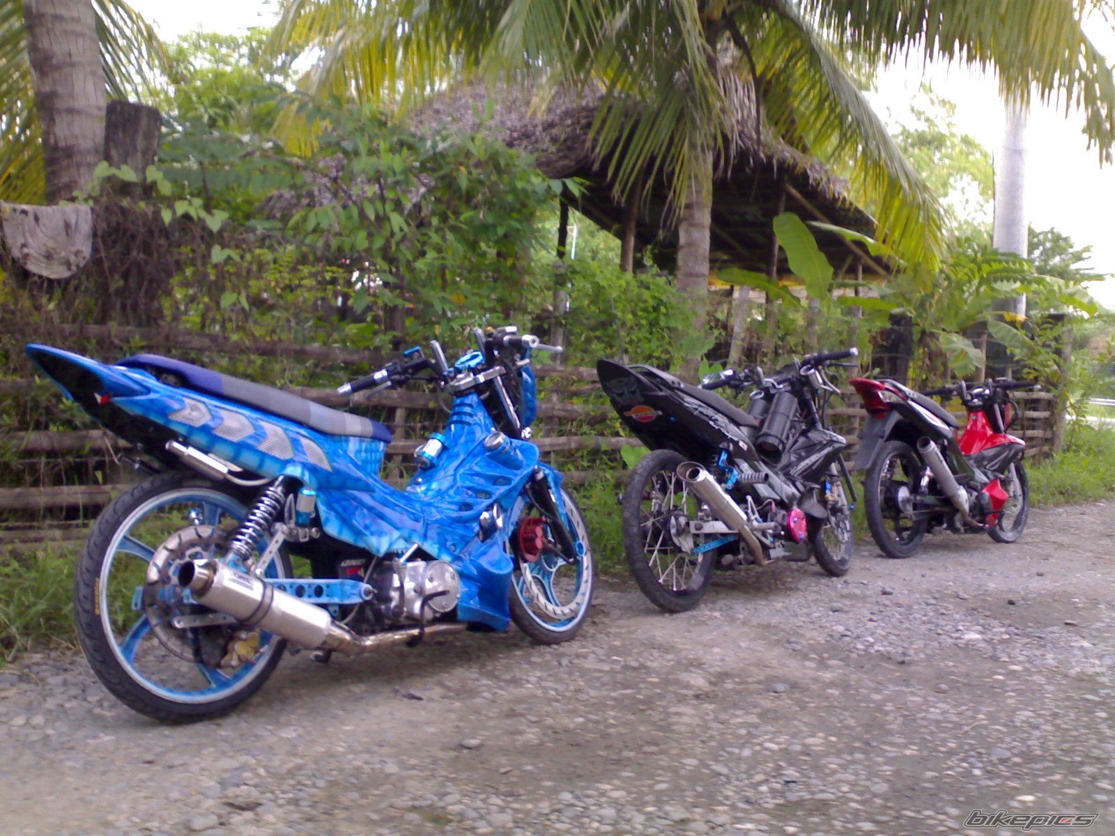 Photo 2060466