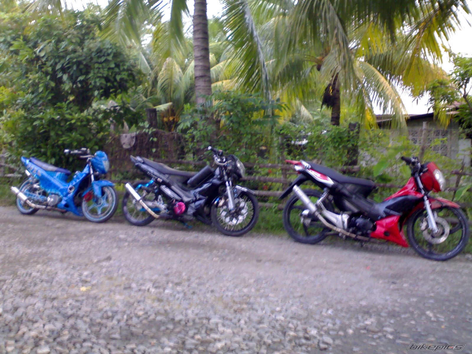 Photo 2060467