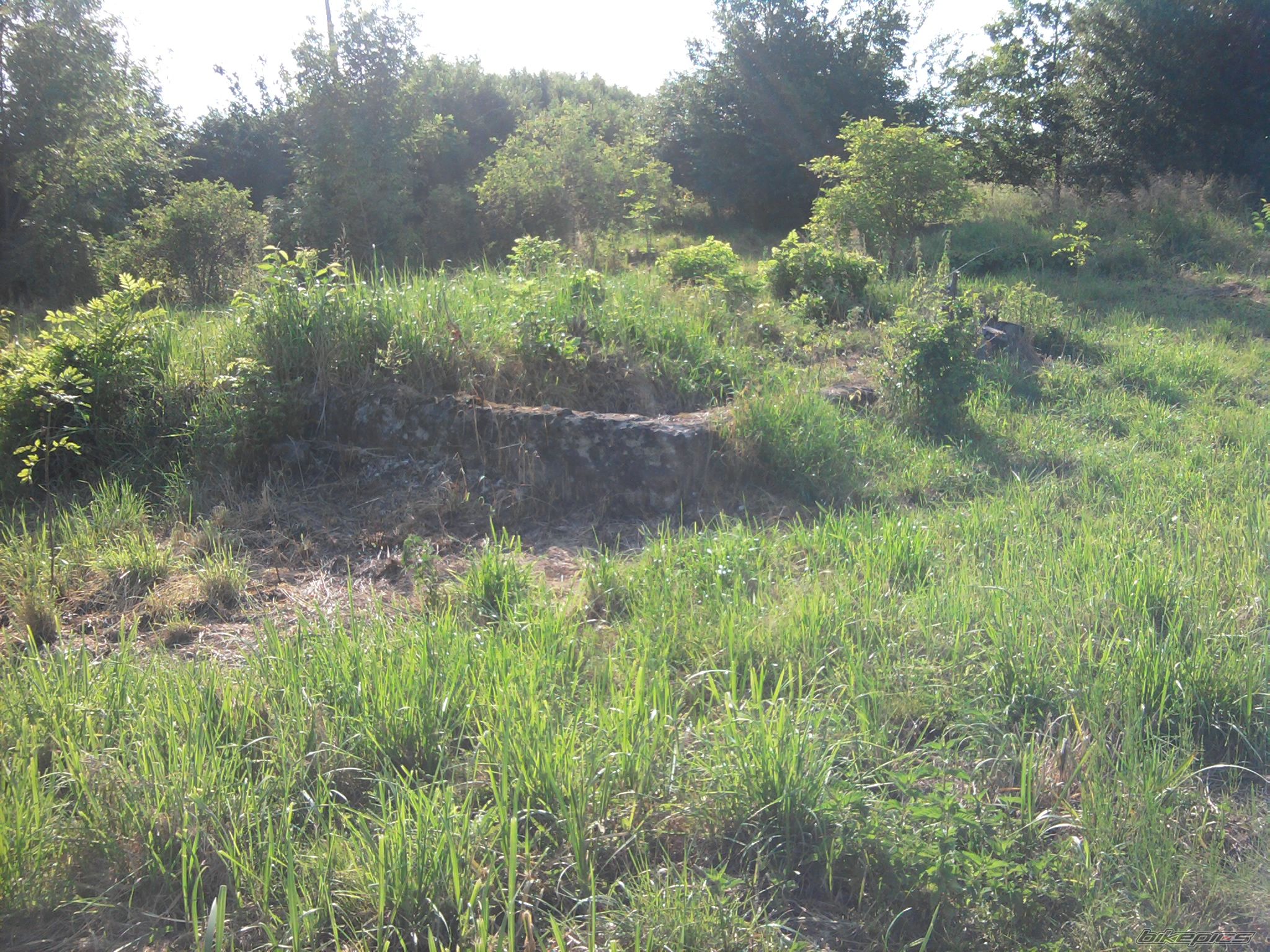 Photo 2060961