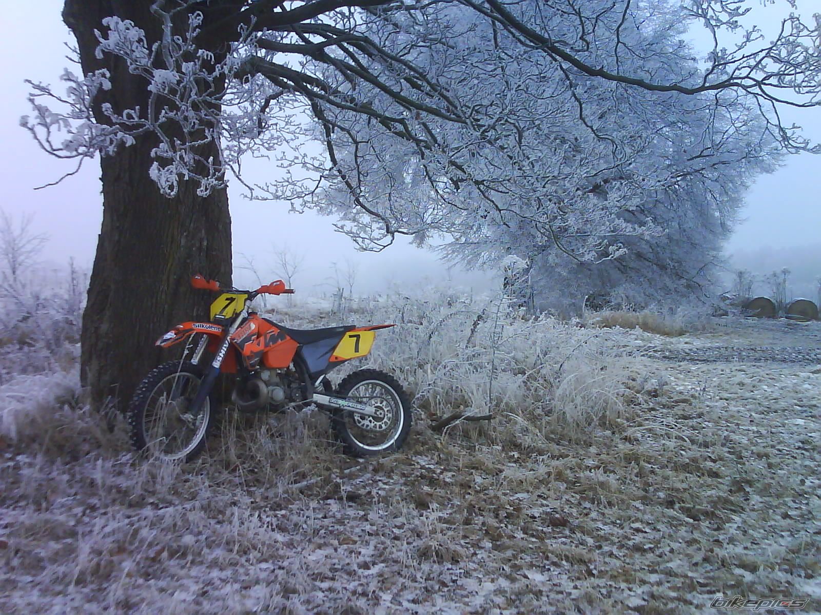 Bike Photo 2061148