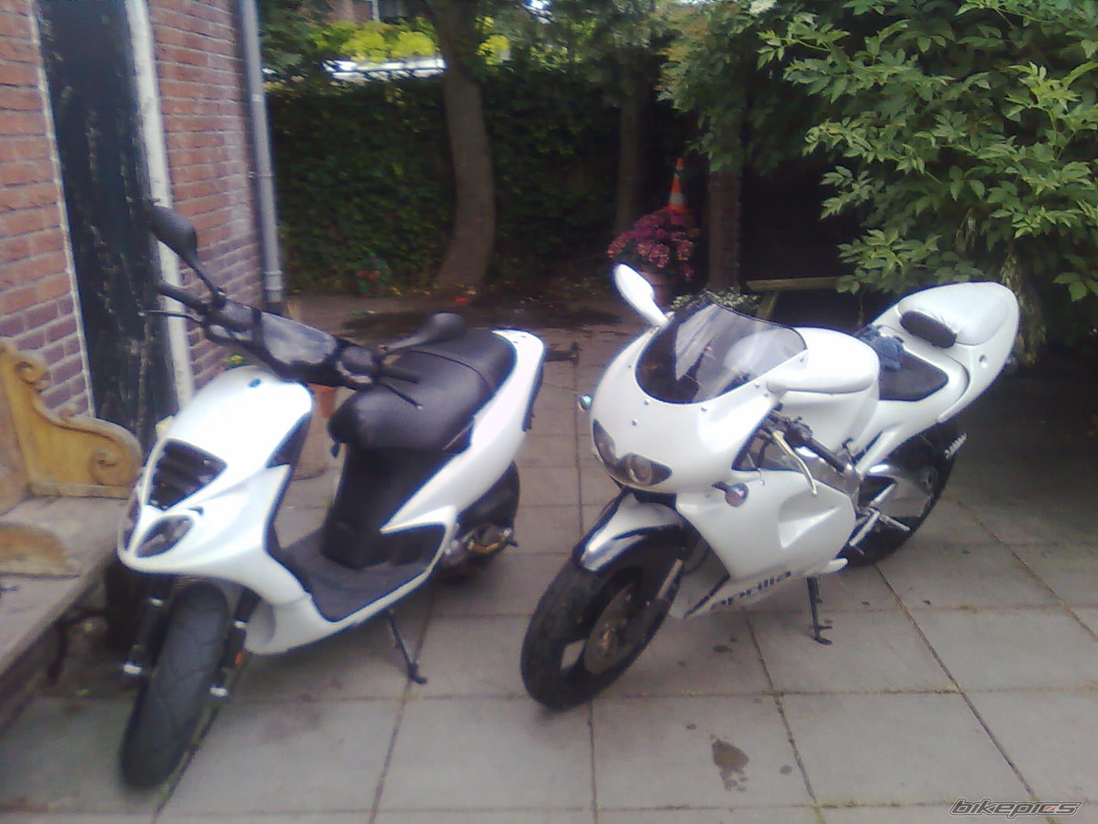 Photo 2061431