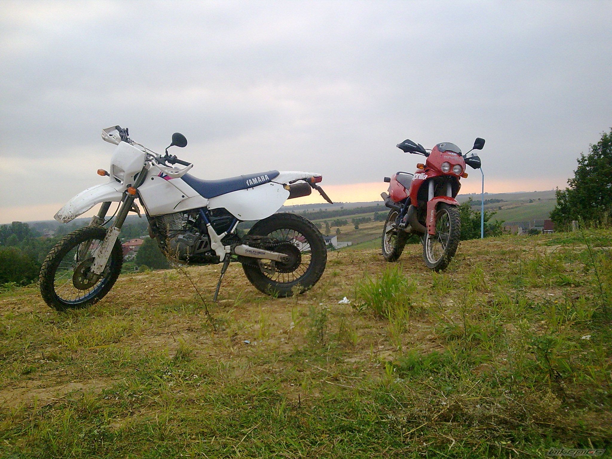 Photo 2061527