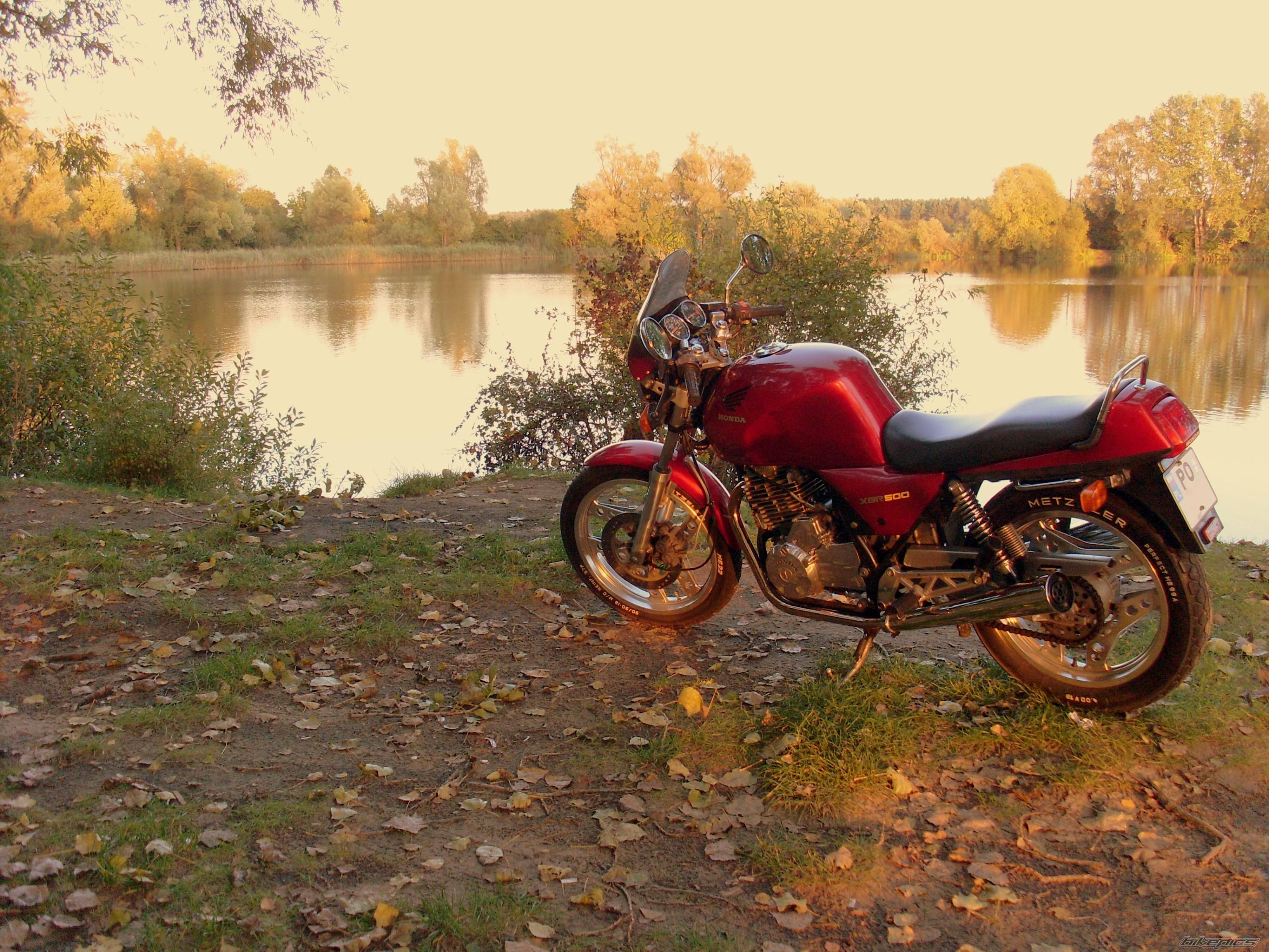 Photo 2061564