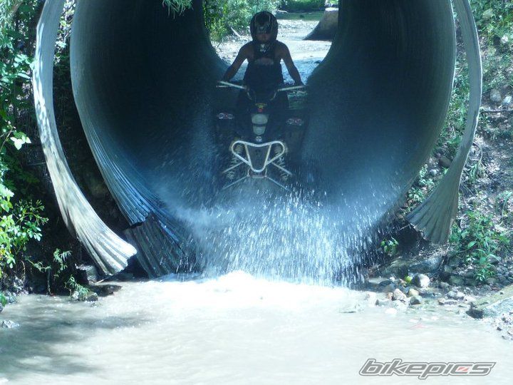 Photo 2061660