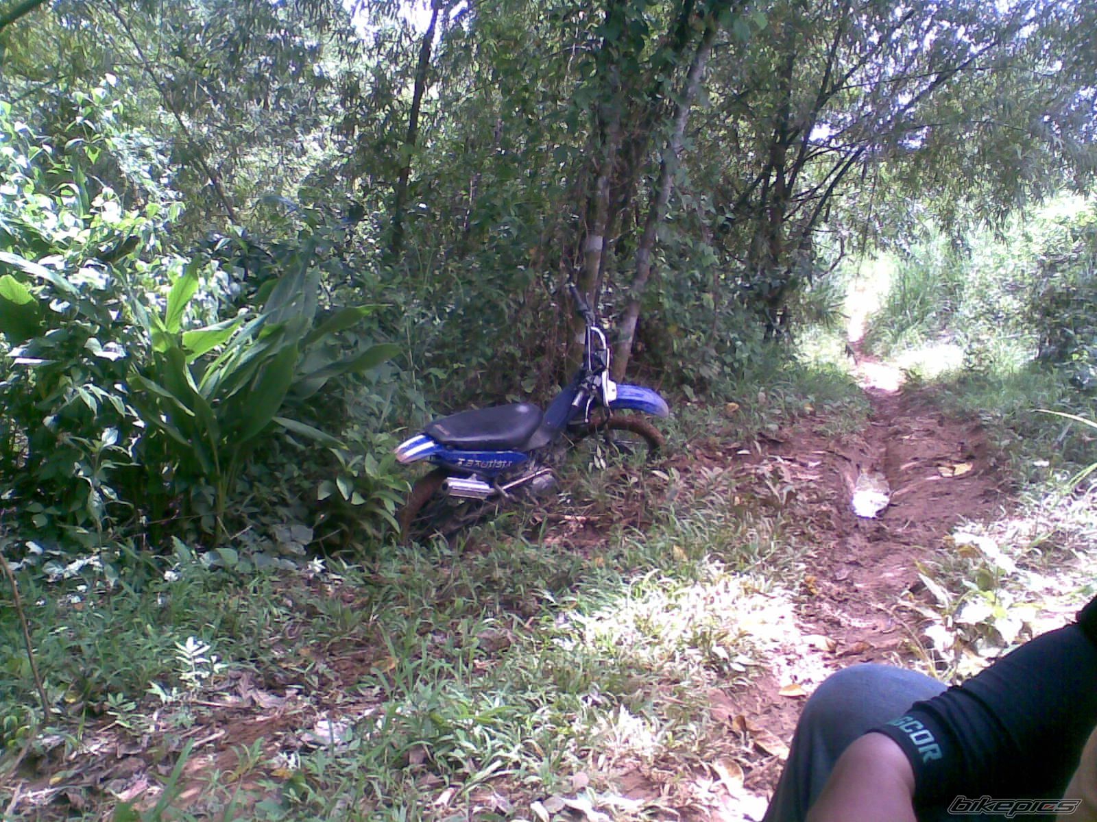 Photo 2061681