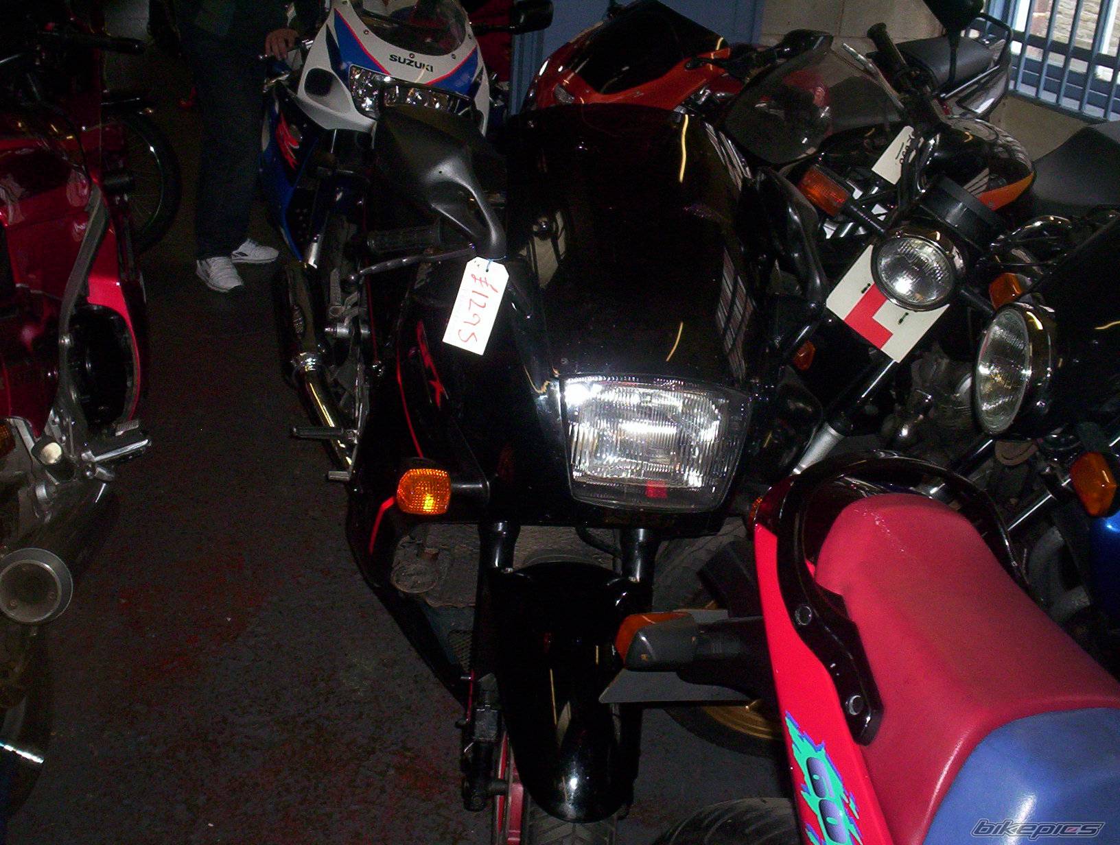 Photo 206172