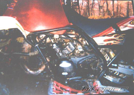 Photo 206178