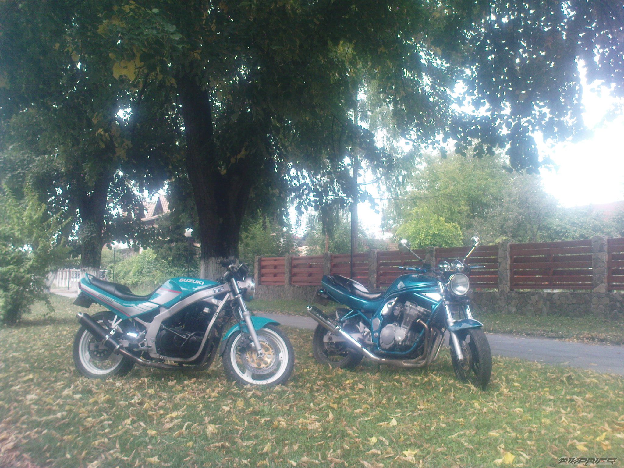 Photo 2061784