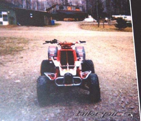 Photo 206179