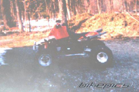 Photo 206180