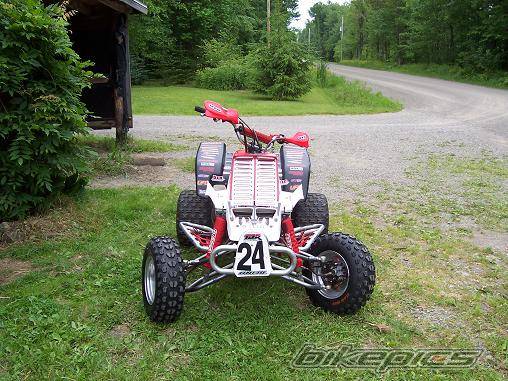 Photo 206183