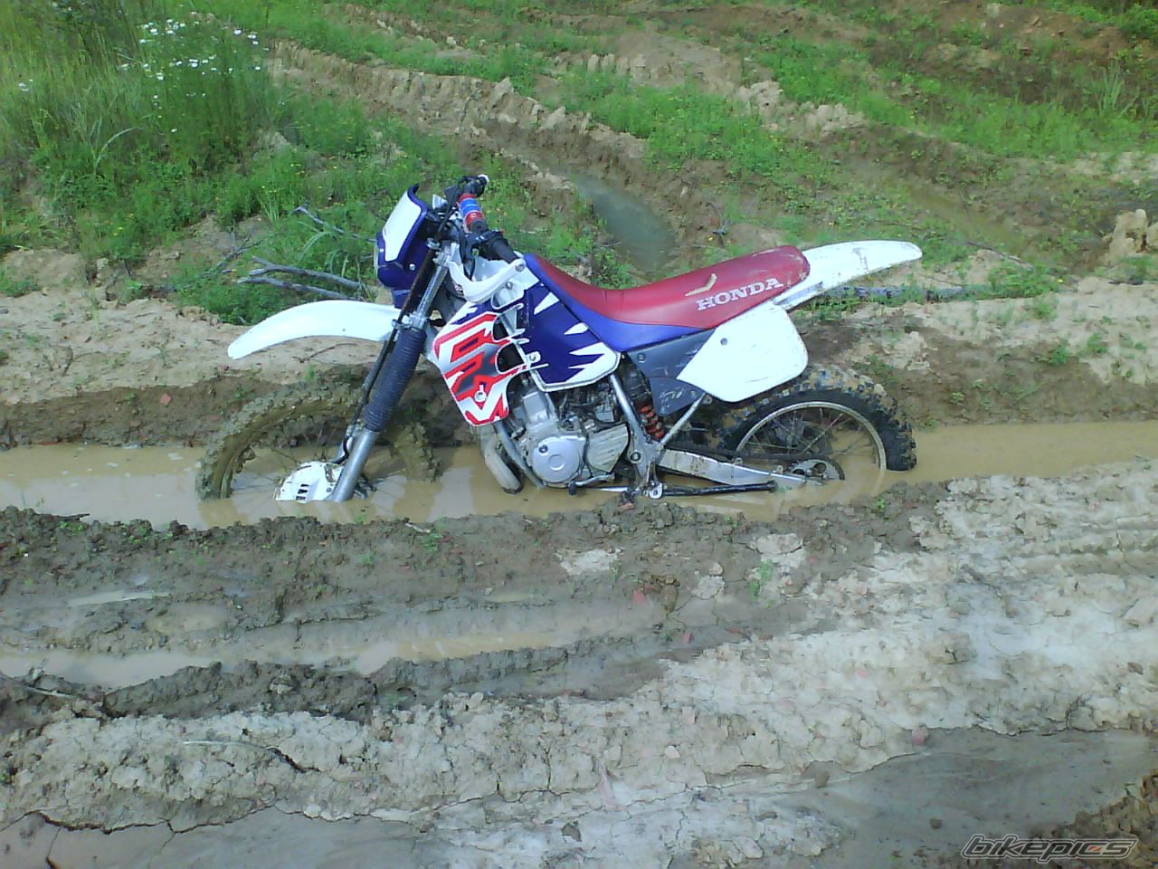 Photo 2062034
