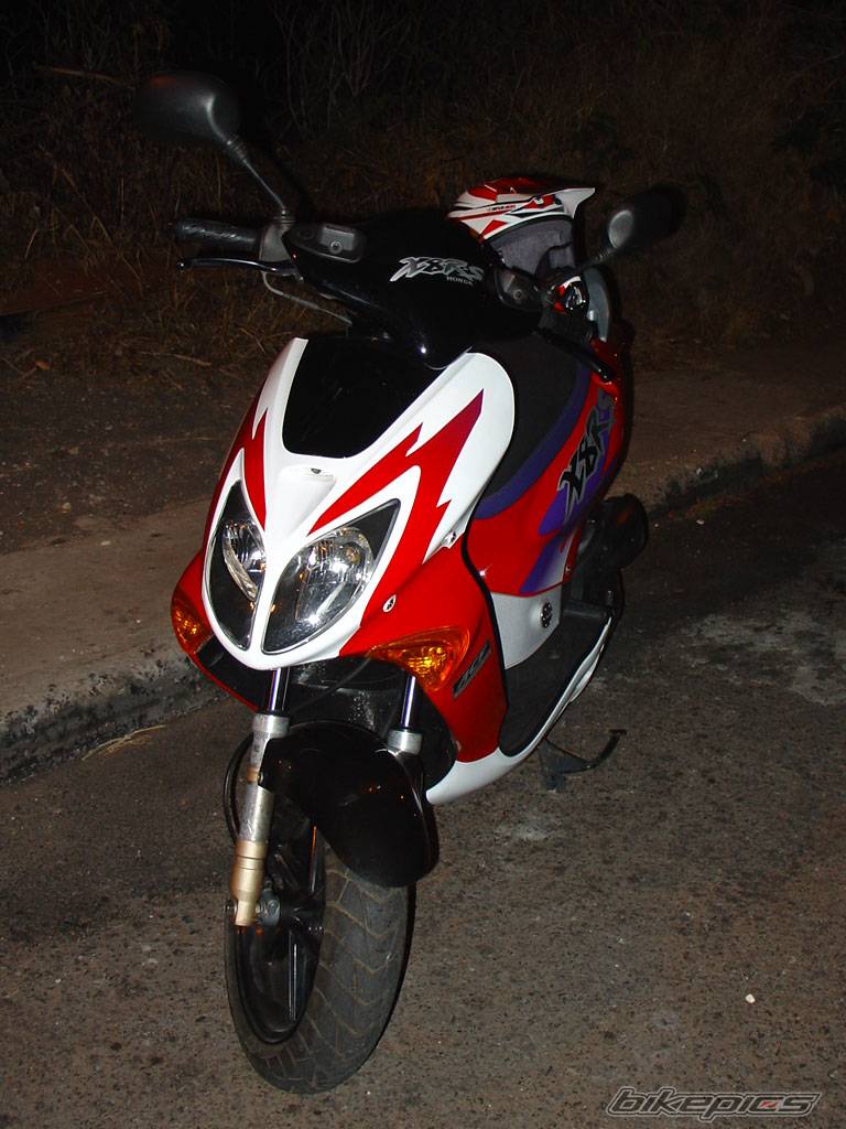 Photo 206220