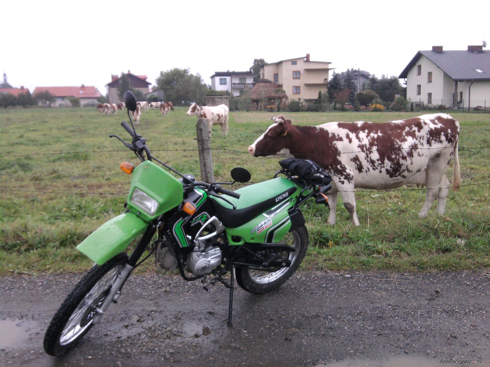 Photo 2062286