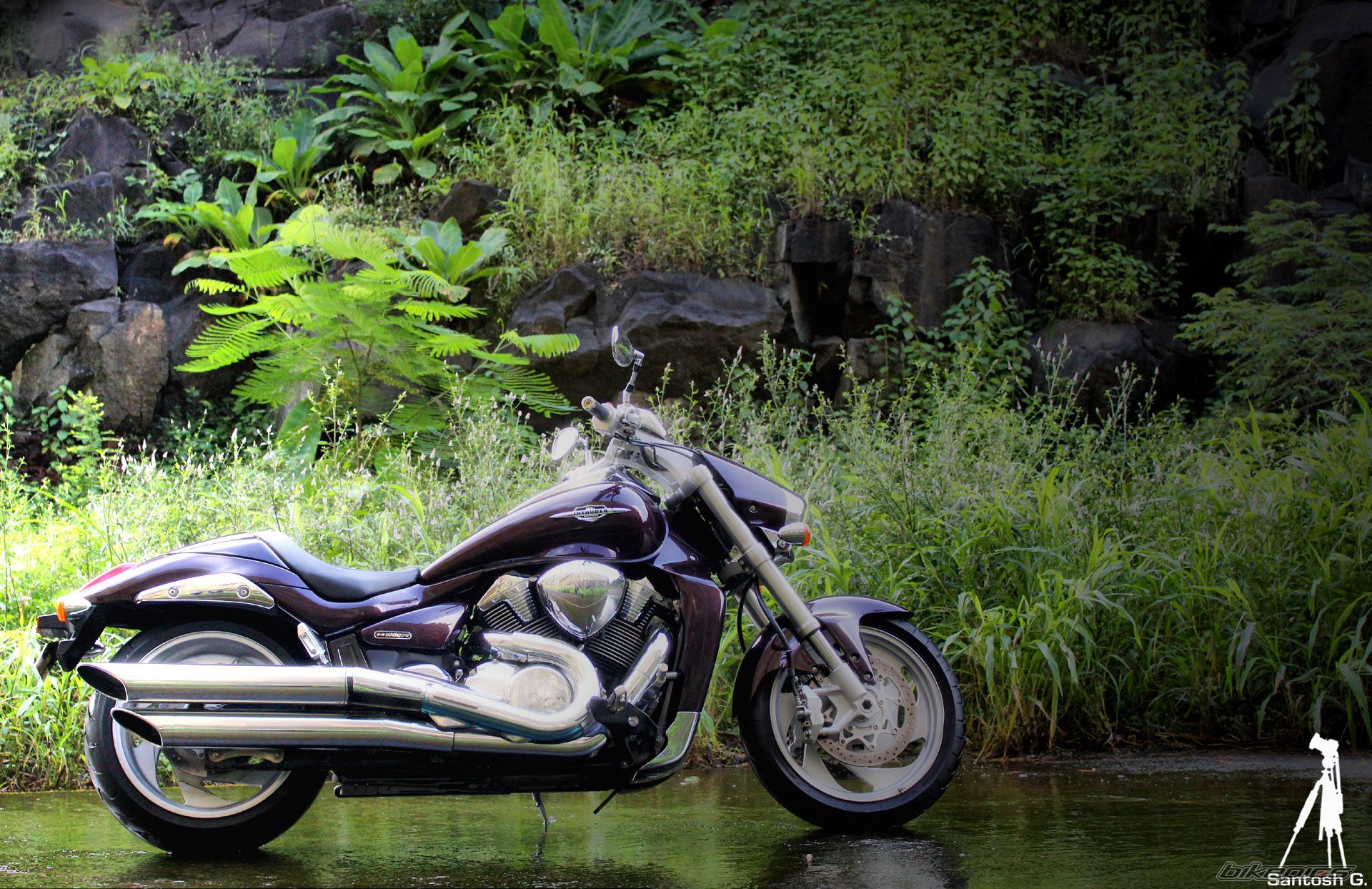 Bike Photo 2062402