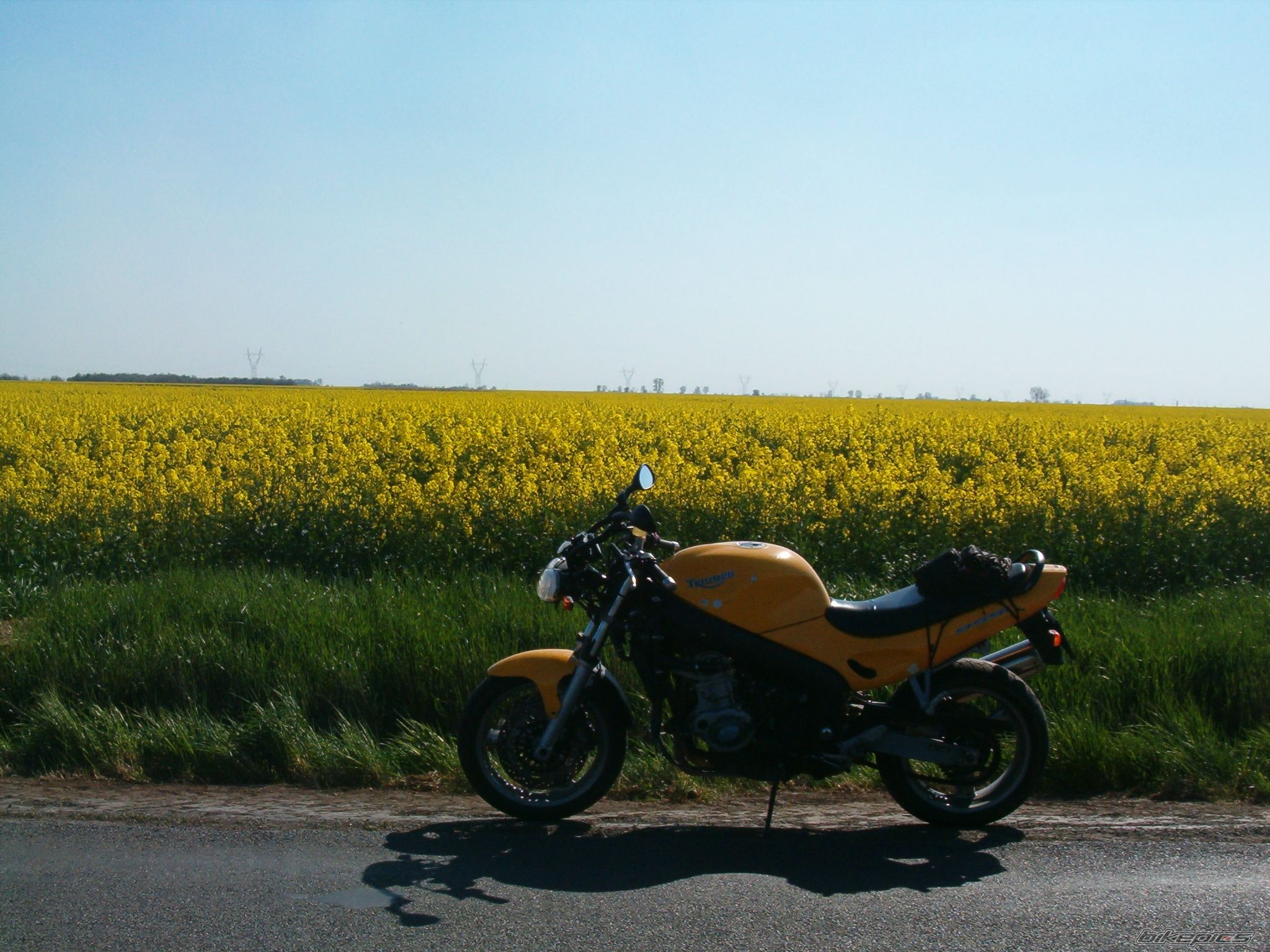 Photo 2062477