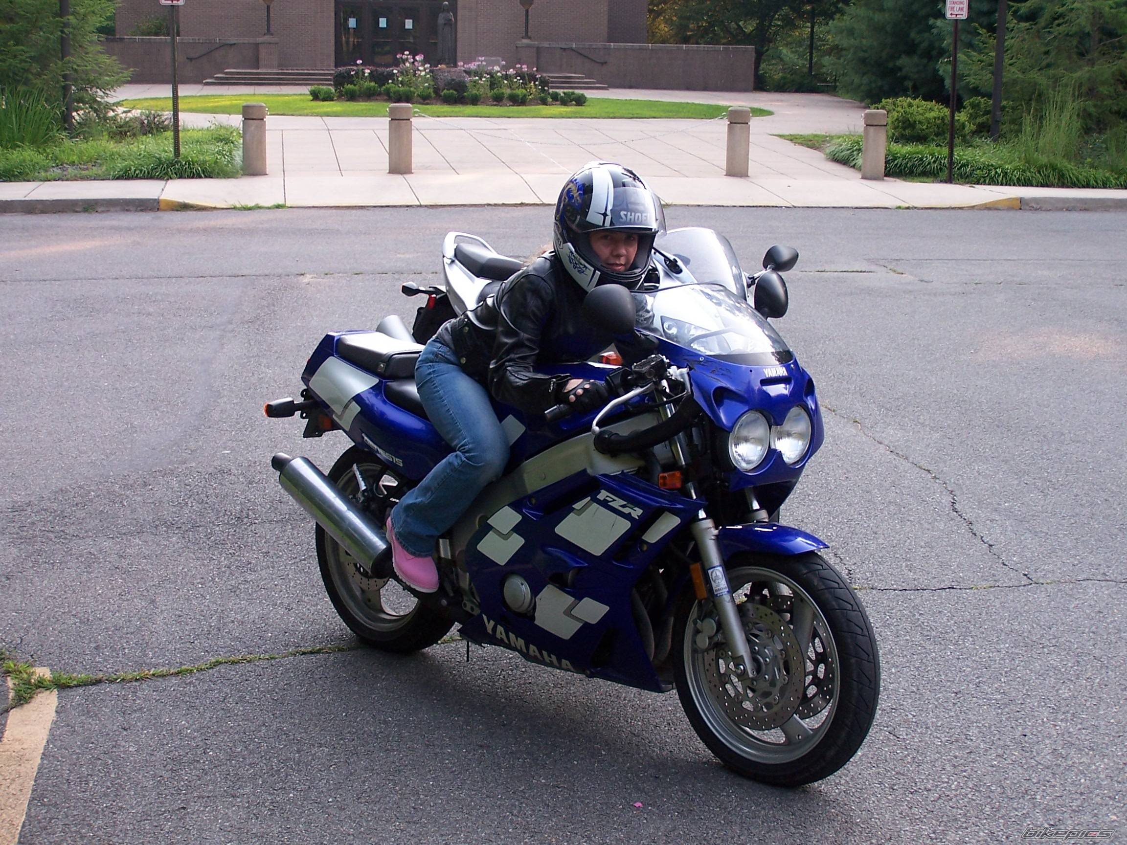 Photo 206273