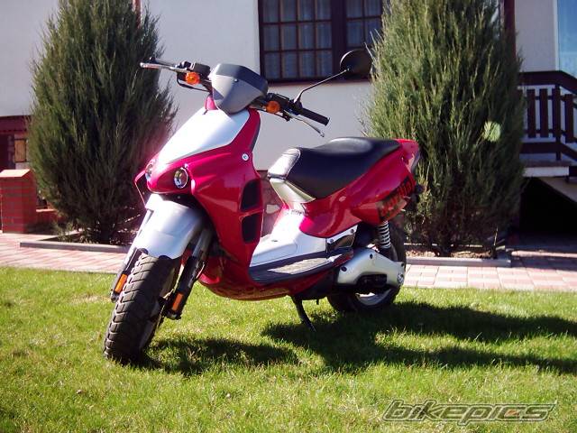 Photo 206275