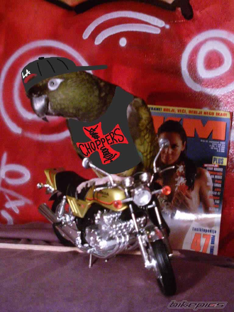 Bike Photo 206286