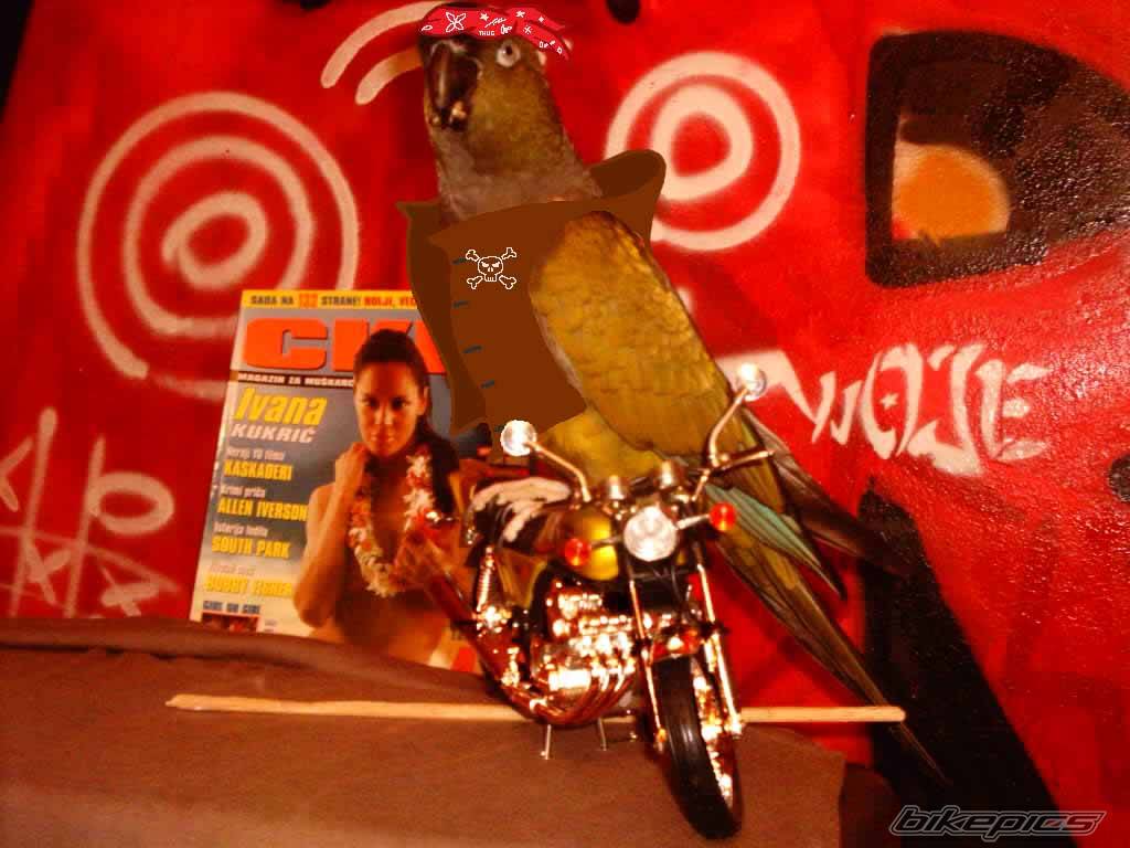 Bike Photo 206287
