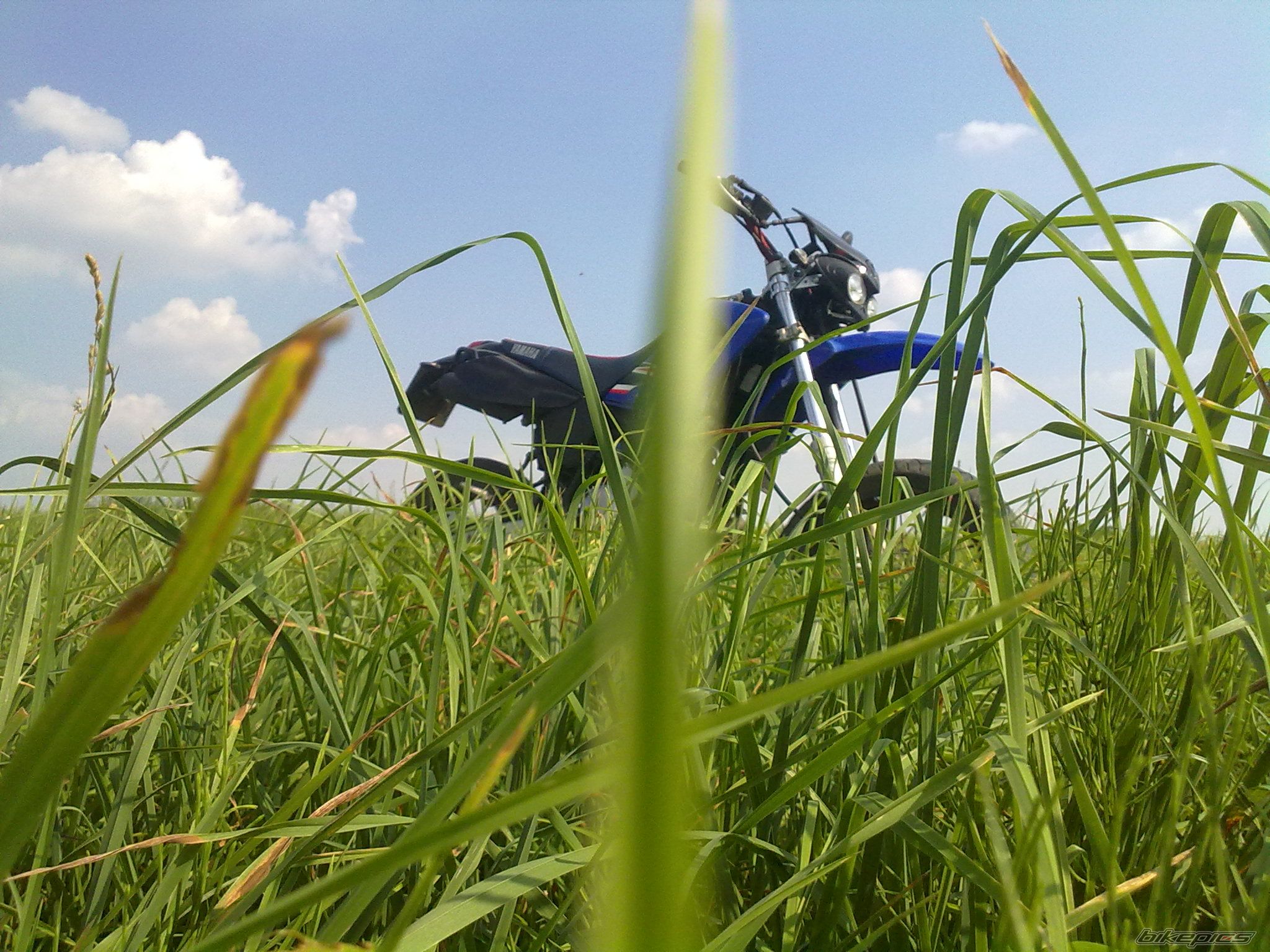 Photo 2062932