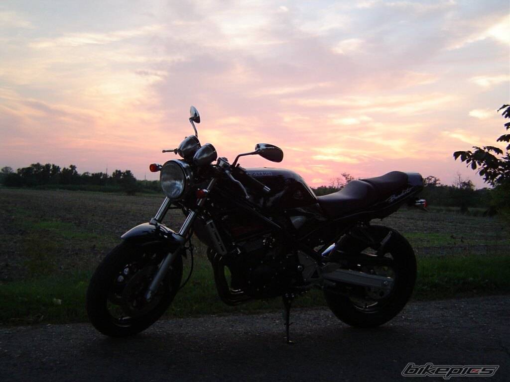 Photo 206304
