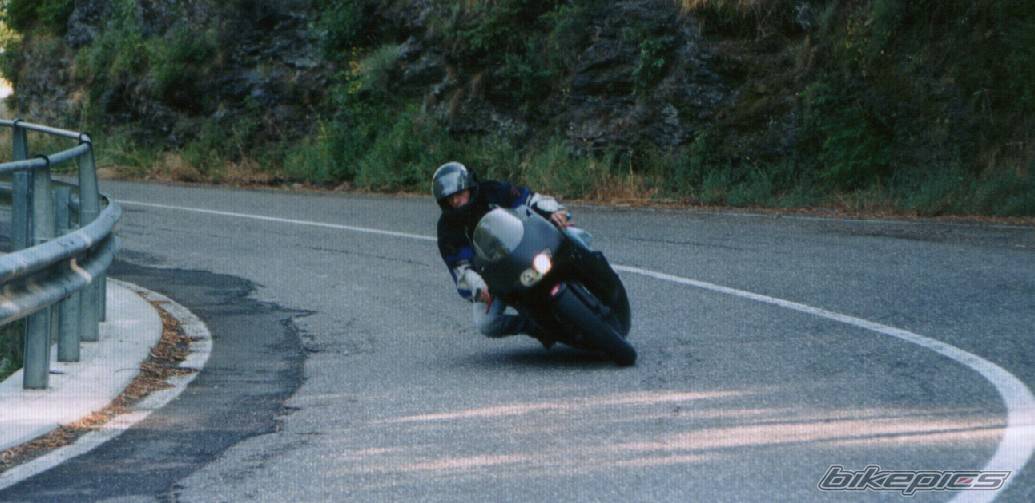 Photo 206305