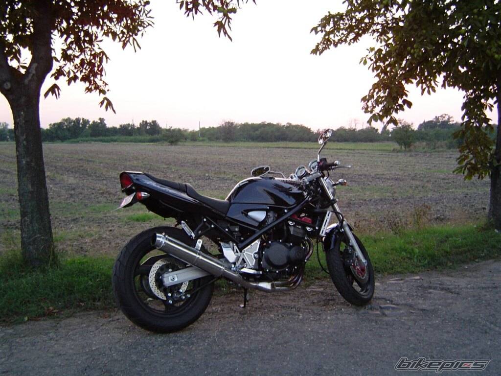 Photo 206306