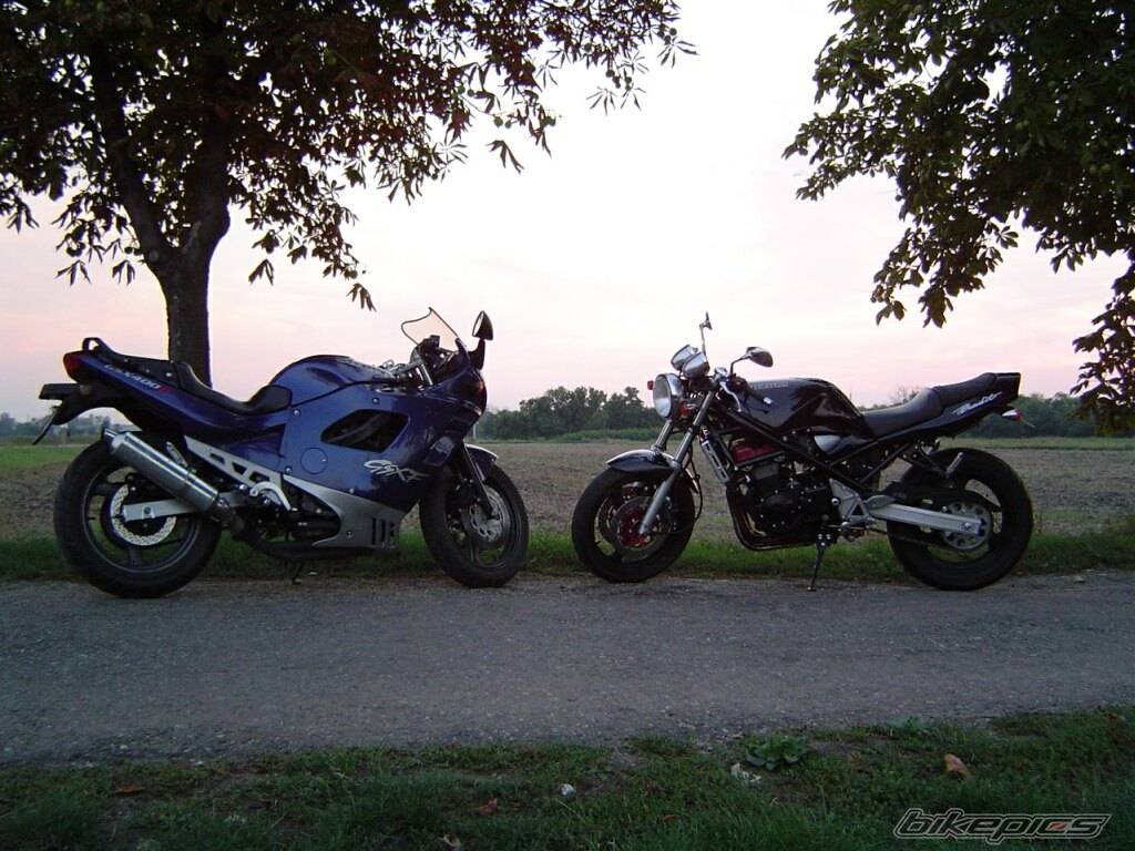 Photo 206308