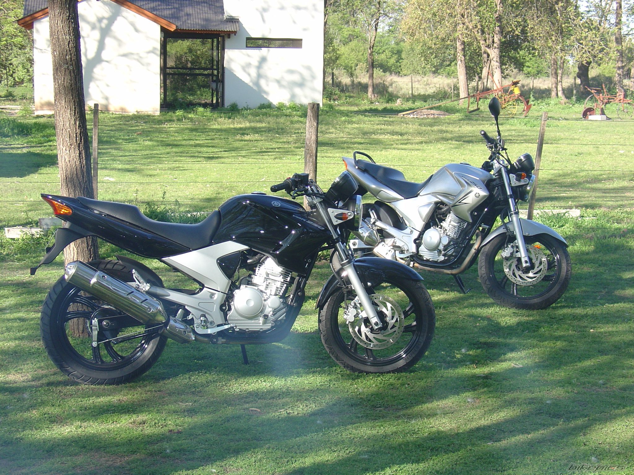 Photo 2063237