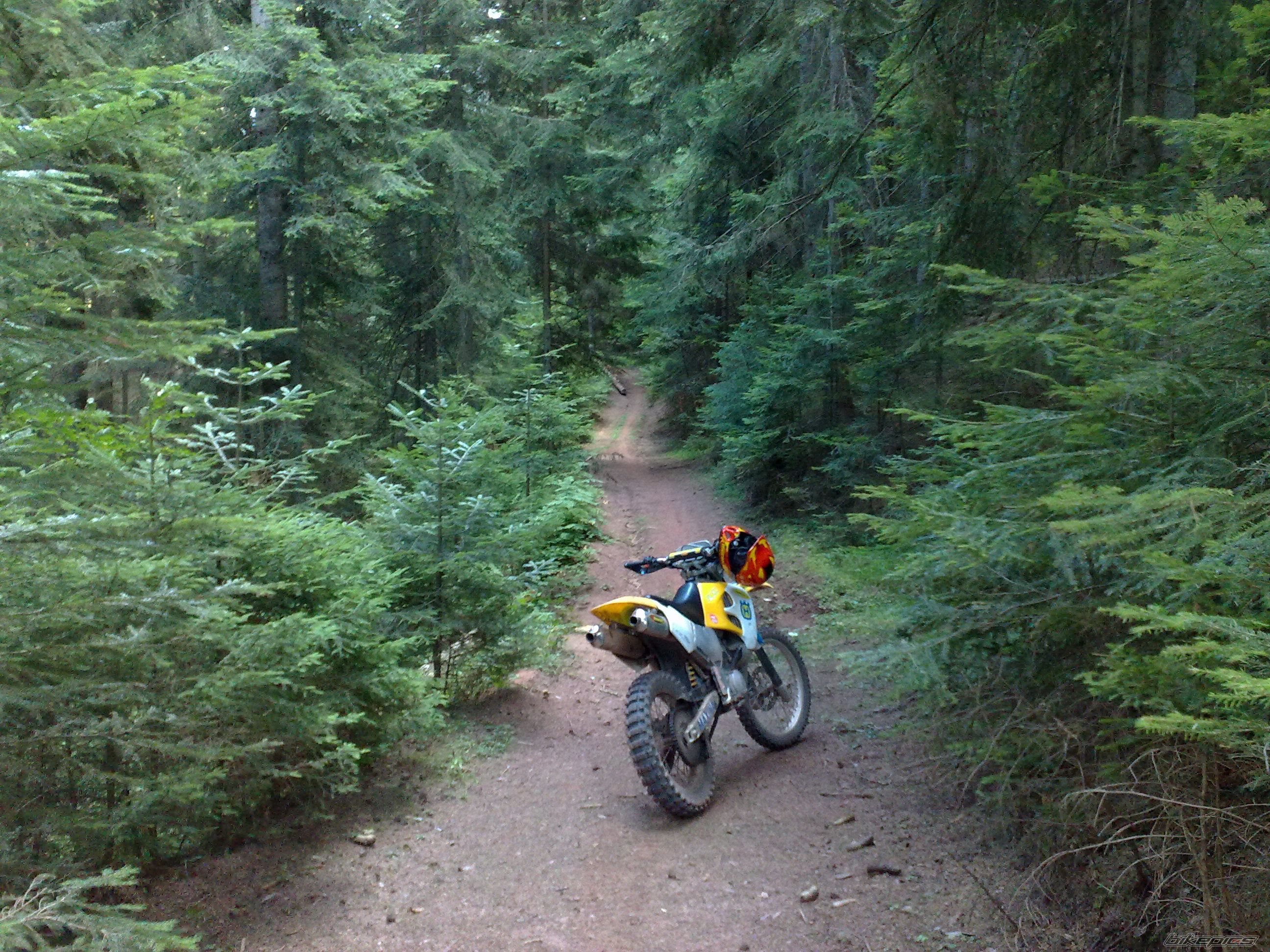 Photo 2063238