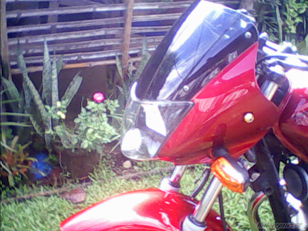 Photo 2063402