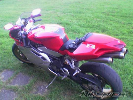 Photo 206346
