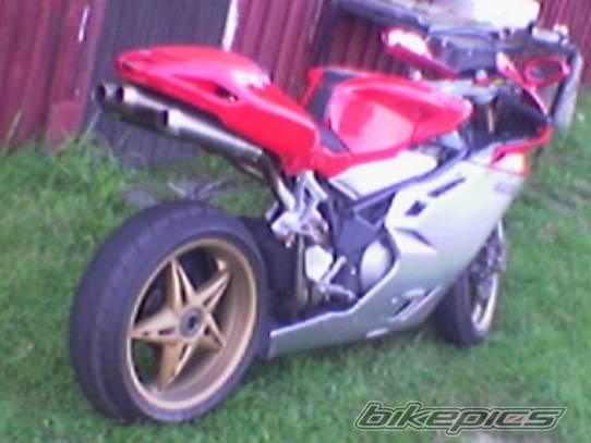 Photo 206347