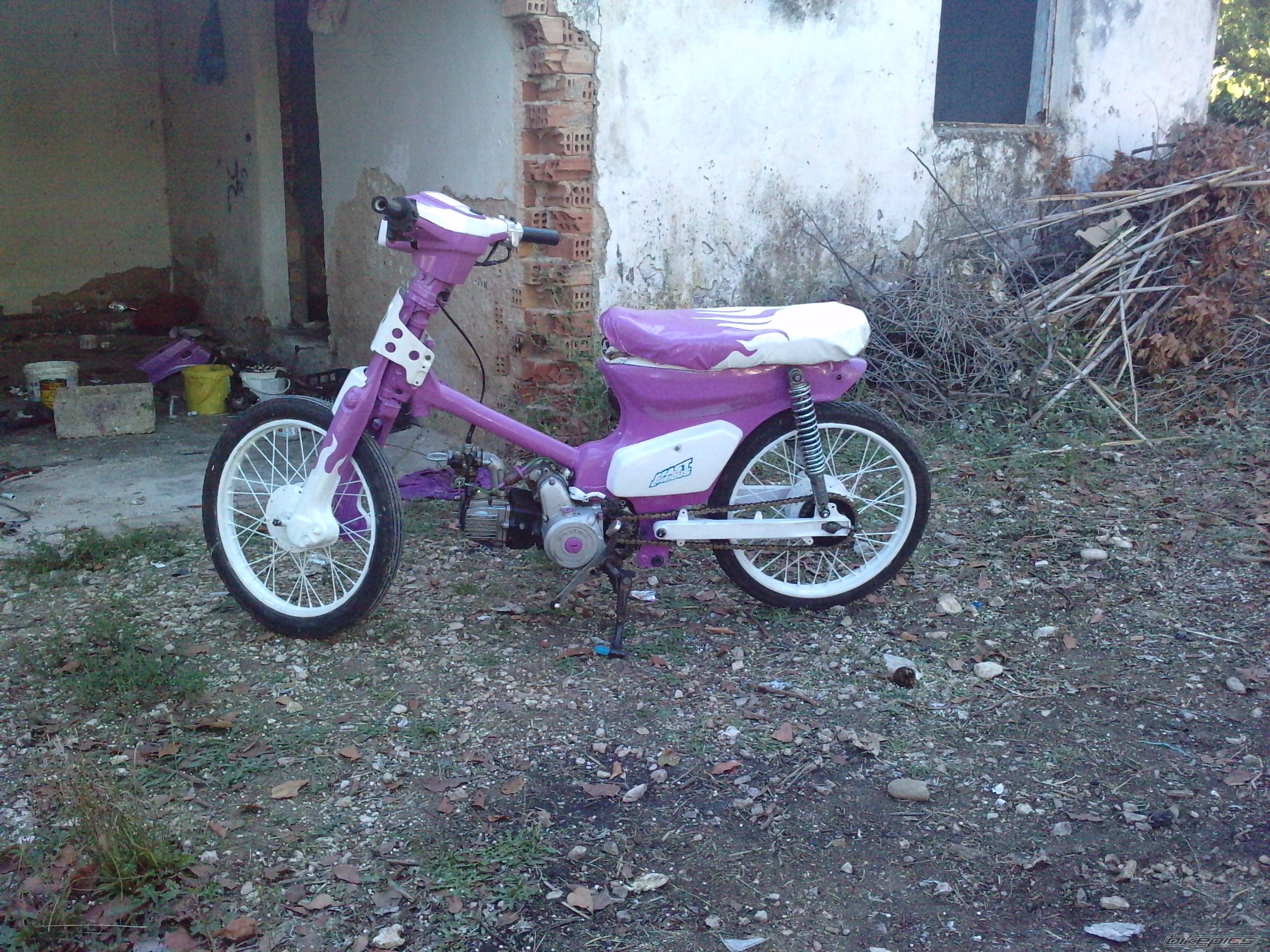 Photo 2063479