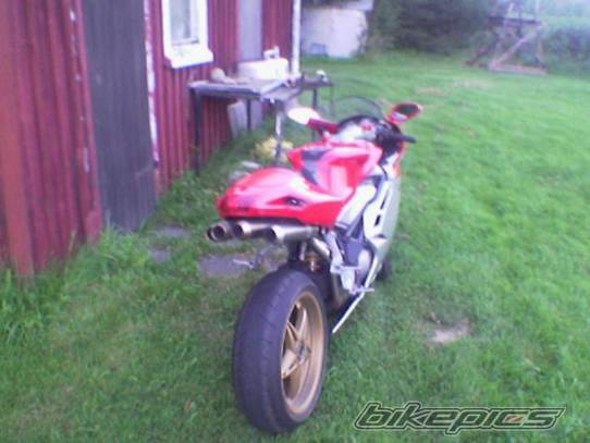 Photo 206349