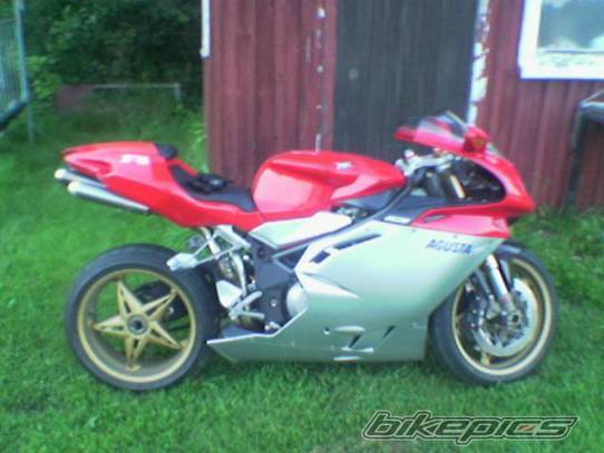 Photo 206351