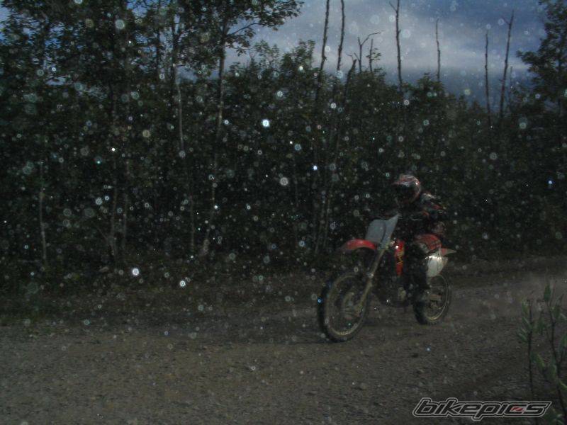 Photo 206353