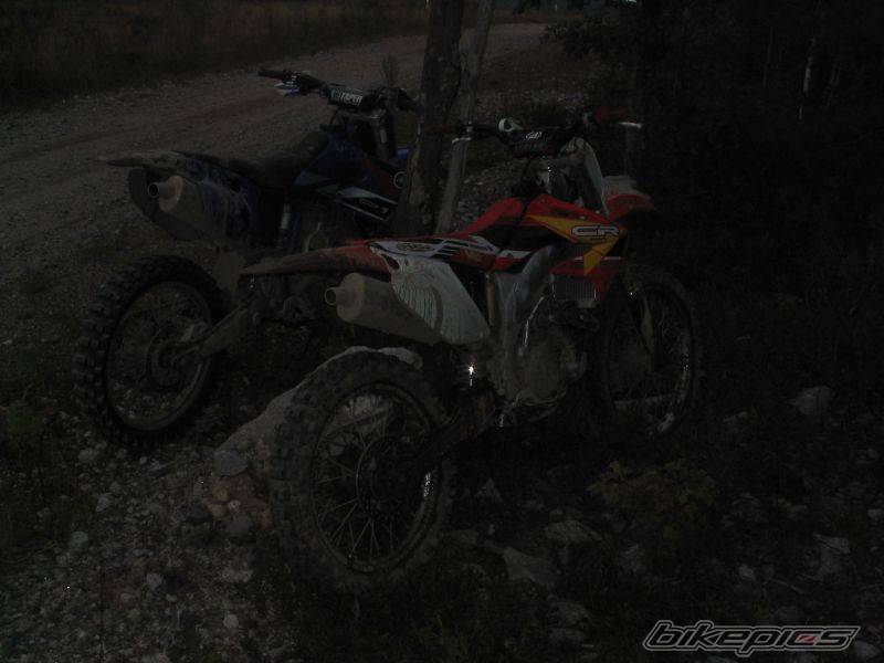 Photo 206354