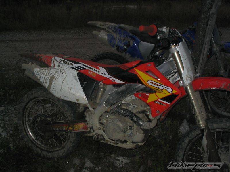 Photo 206355