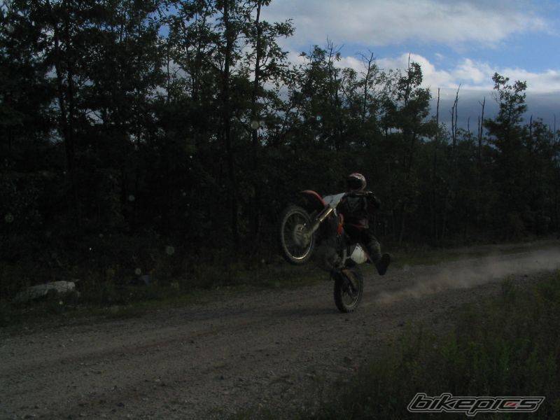 Photo 206361