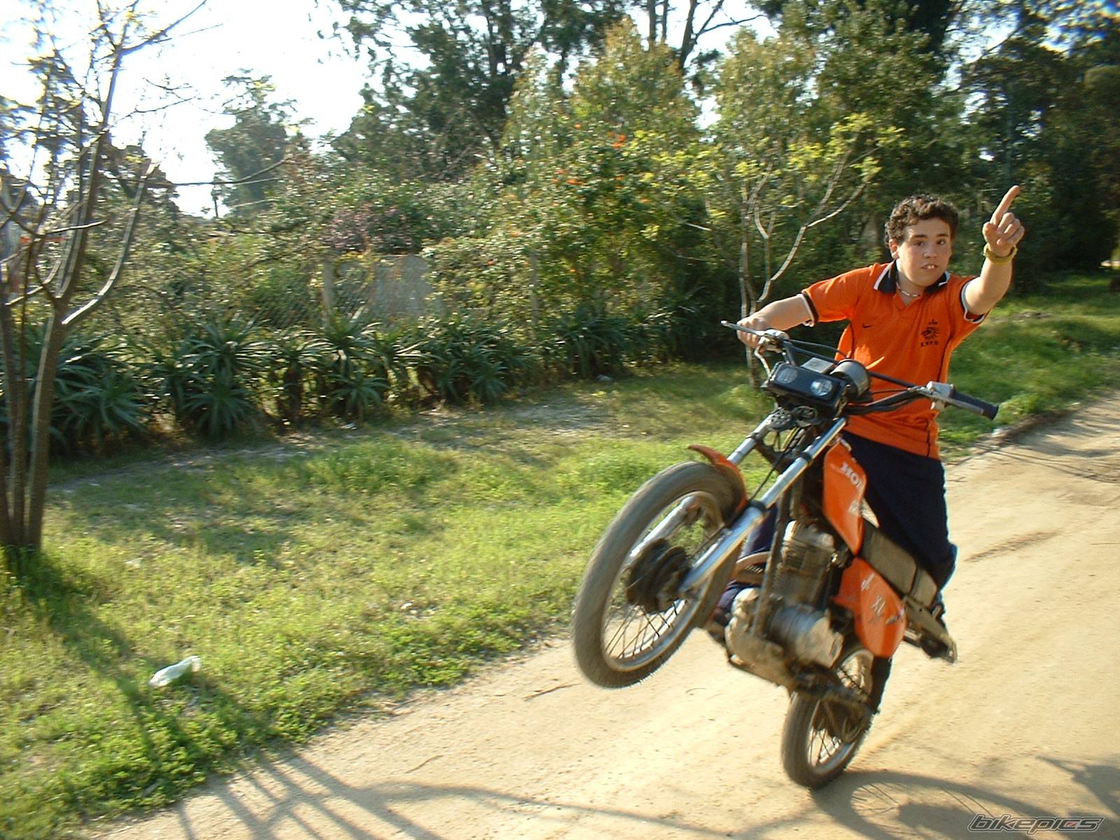 Photo 206372