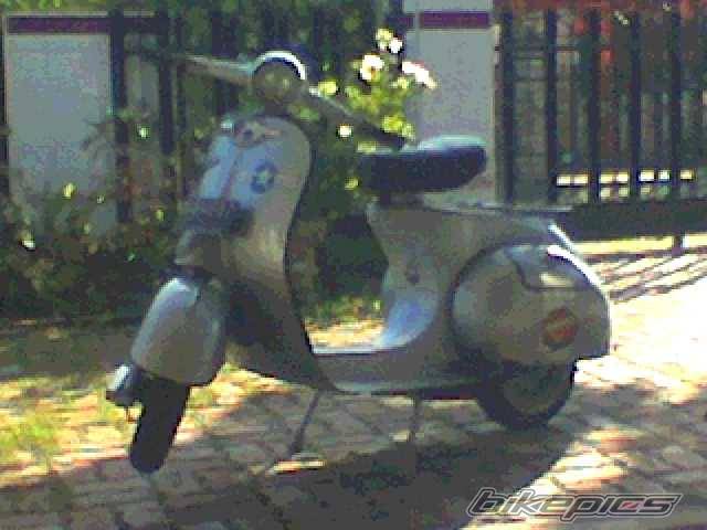 Photo 206375