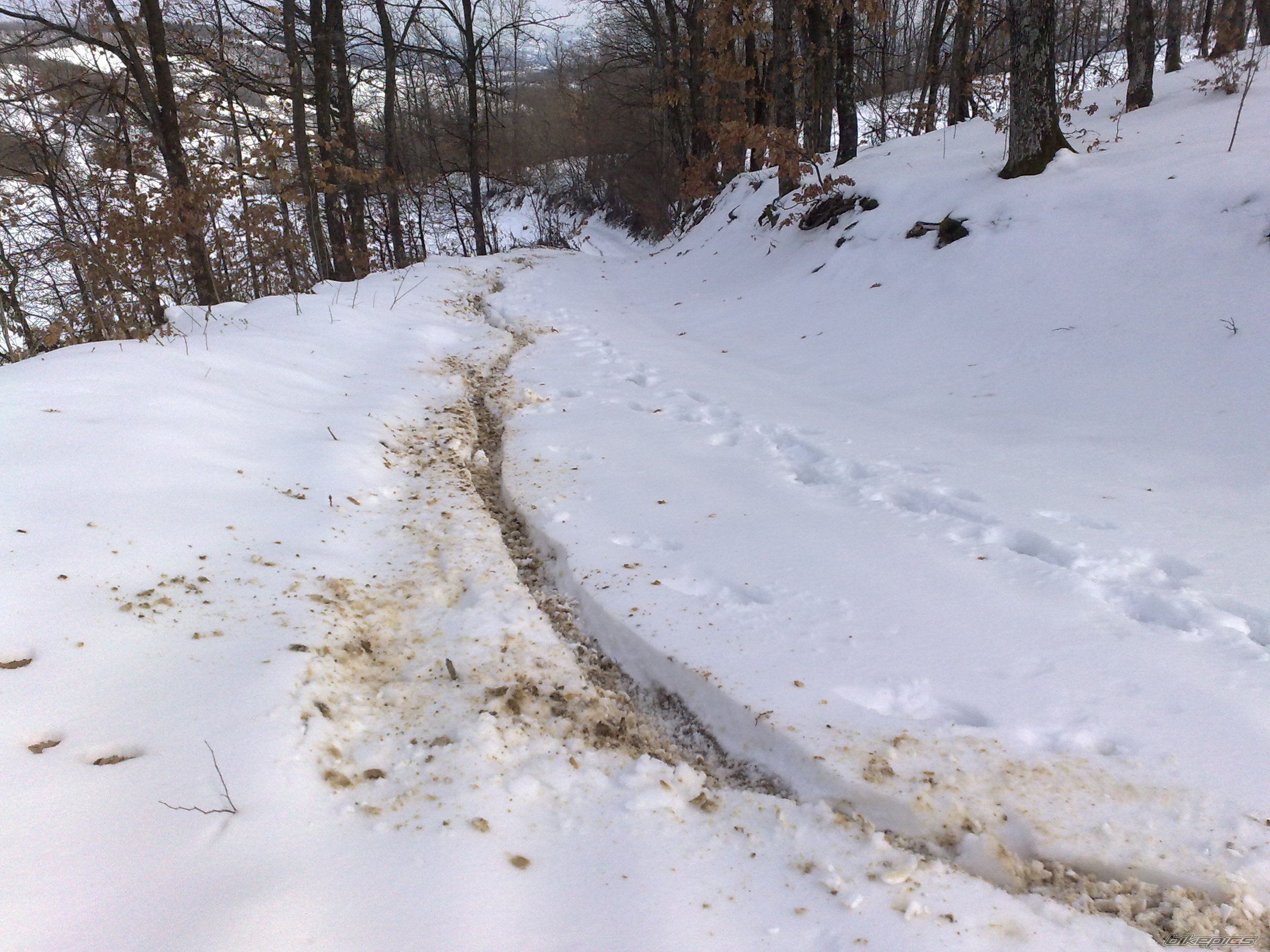 Photo 2063769