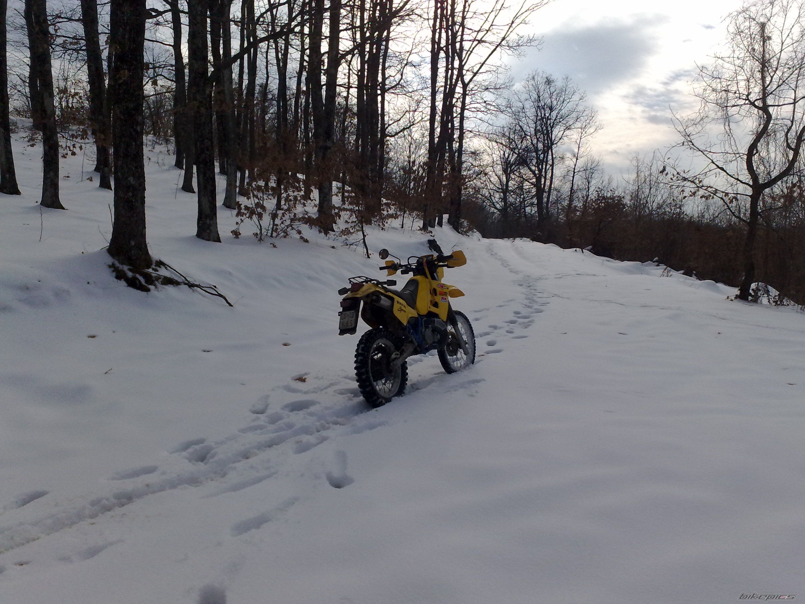 Photo 2063771