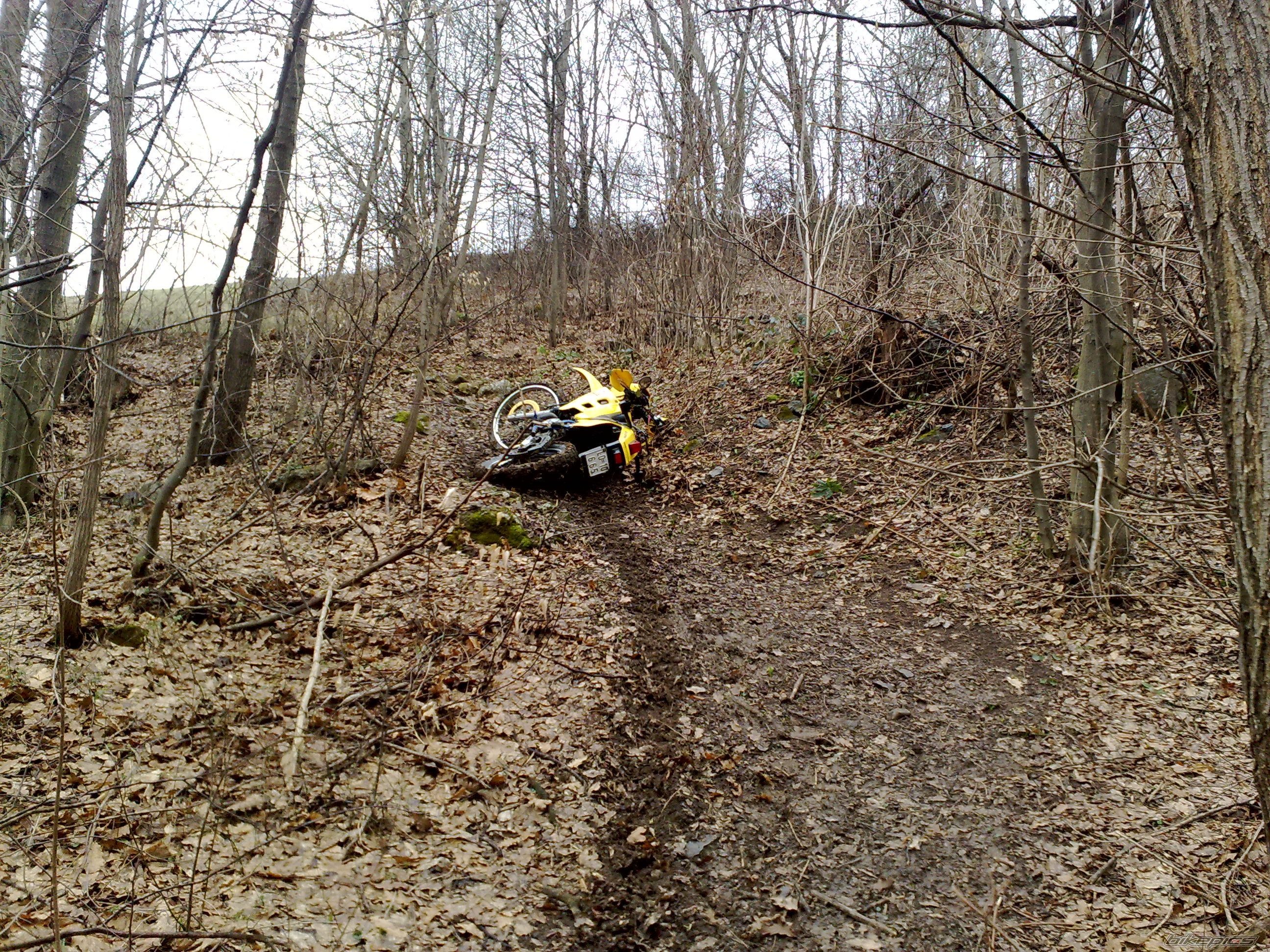 Photo 2063775