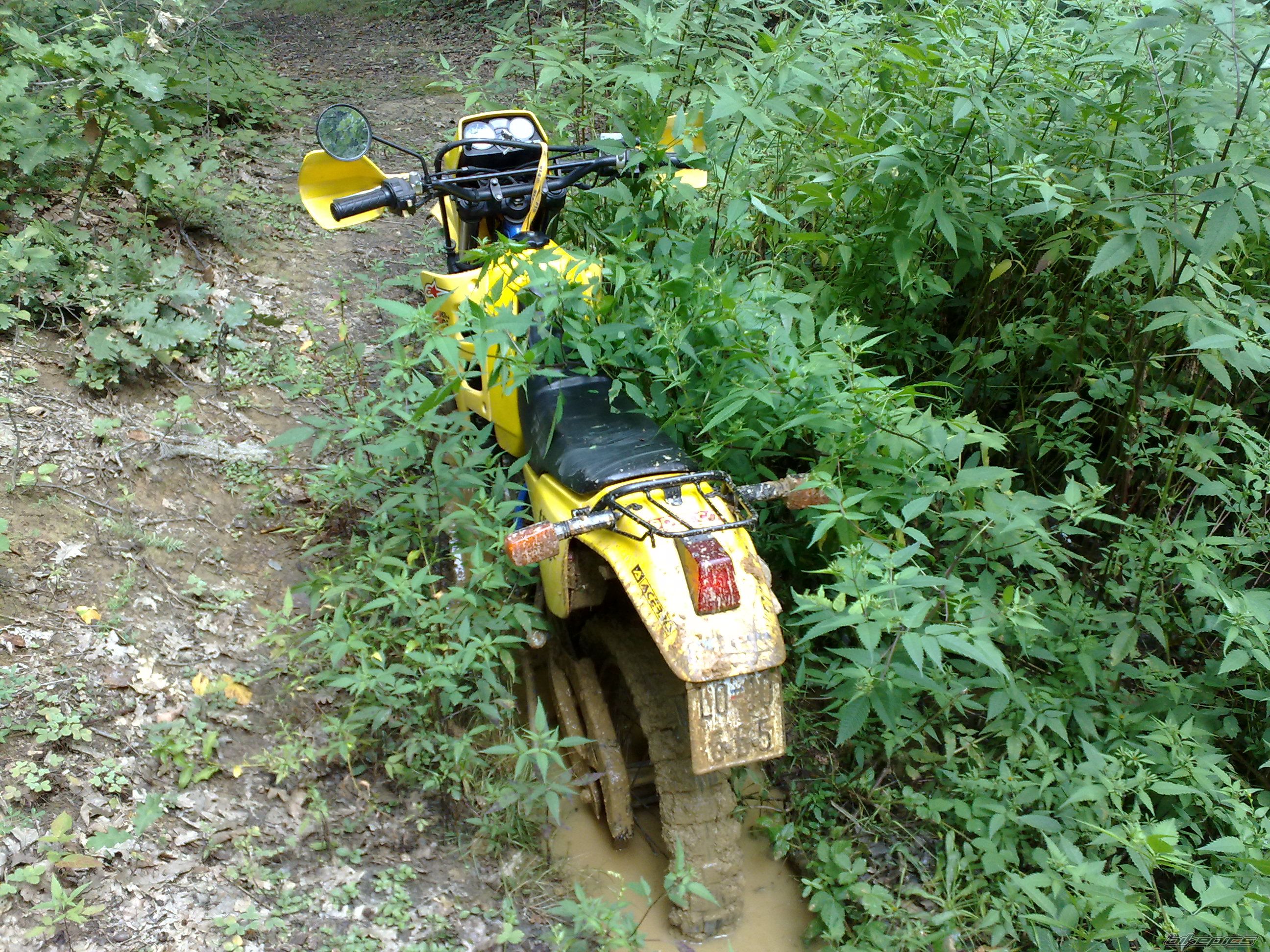 Photo 2063783