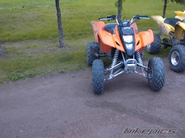Photo 206379