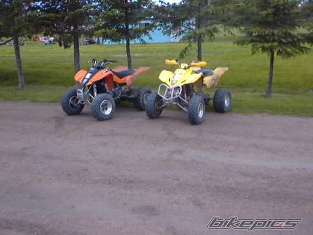 Photo 206380