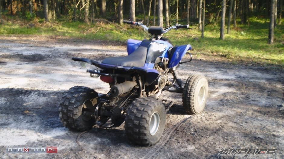 Photo 2063852